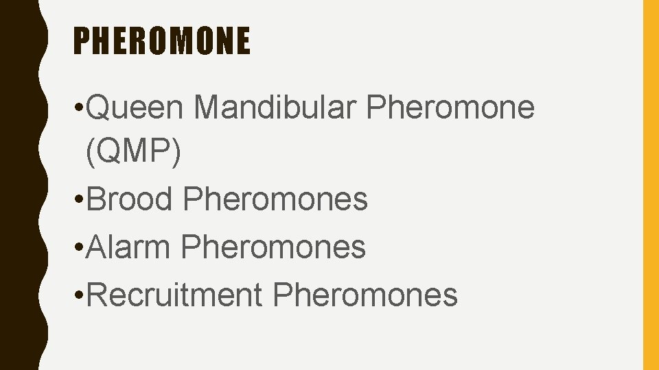 PHEROMONE • Queen Mandibular Pheromone (QMP) • Brood Pheromones • Alarm Pheromones • Recruitment