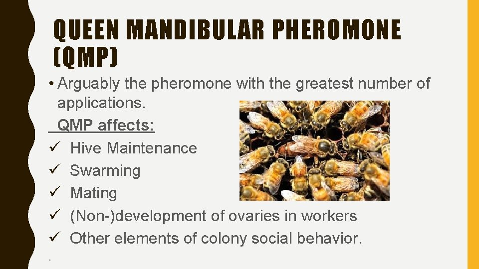 QUEEN MANDIBULAR PHEROMONE (QMP) • Arguably the pheromone with the greatest number of applications.