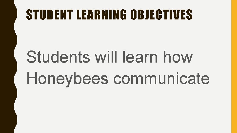 STUDENT LEARNING OBJECTIVES Students will learn how Honeybees communicate 