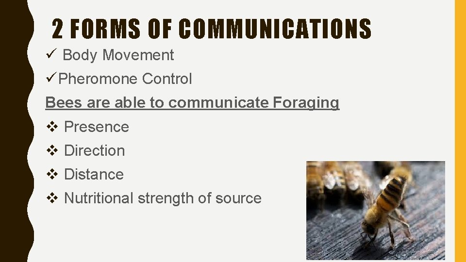 2 FORMS OF COMMUNICATIONS ü Body Movement üPheromone Control Bees are able to communicate