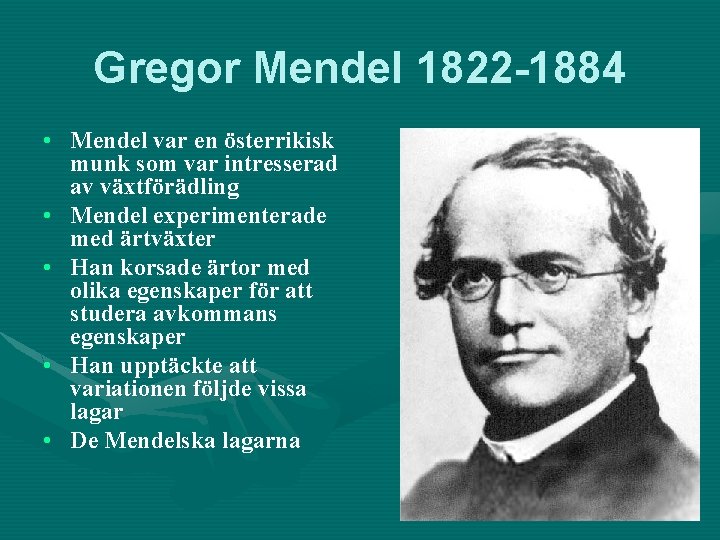 Gregor Mendel 1822 -1884 • Mendel var en österrikisk munk som var intresserad av