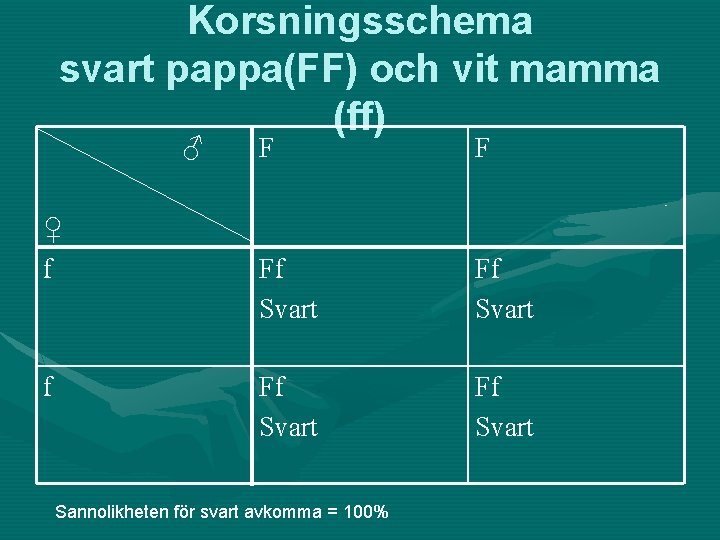 Korsningsschema svart pappa(FF) och vit mamma (ff) ♂ ♀ f f F F Ff