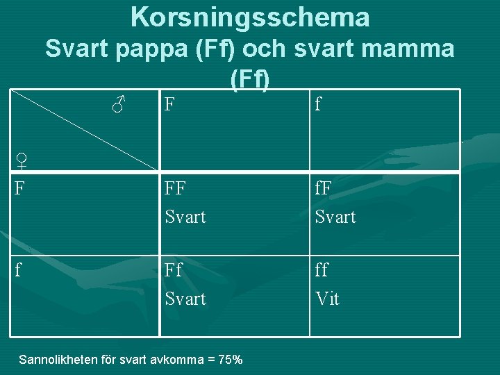 Korsningsschema Svart pappa (Ff) och svart mamma (Ff) ♂ ♀ F f FF Svart