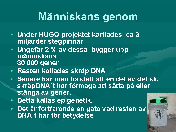 Människans genom • Under HUGO projektet kartlades ca 3 miljarder stegpinnar • Ungefär 2