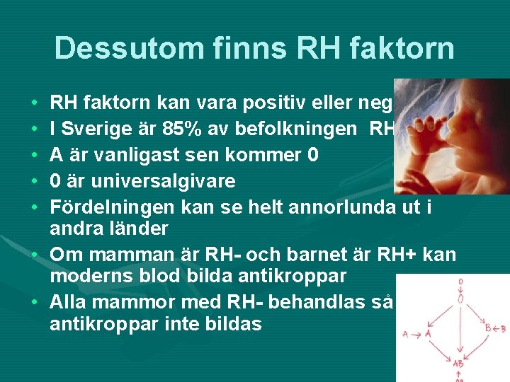 Dessutom finns RH faktorn • • • RH faktorn kan vara positiv eller negativ