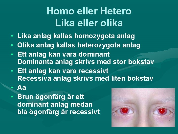 Homo eller Hetero Lika eller olika • • • Lika anlag kallas homozygota anlag