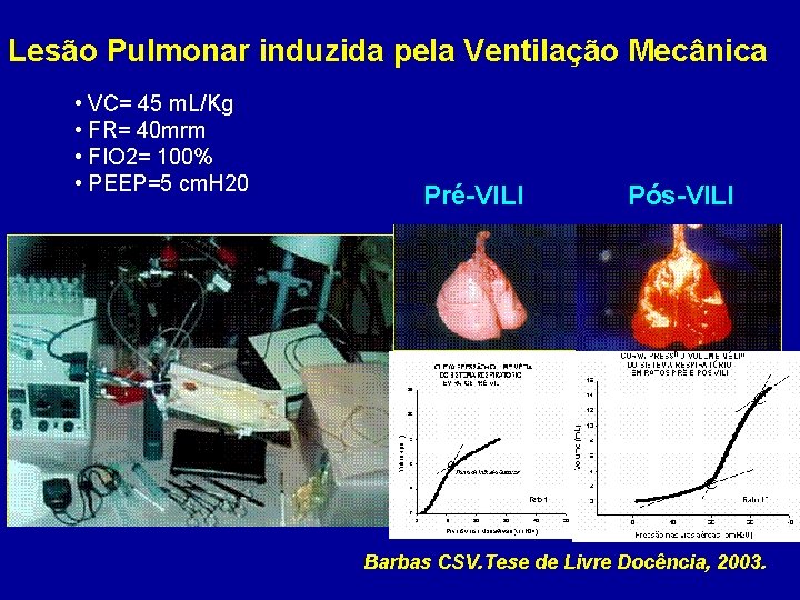 Lesão Pulmonar induzida pela Ventilação Mecânica • VC= 45 m. L/Kg • FR= 40