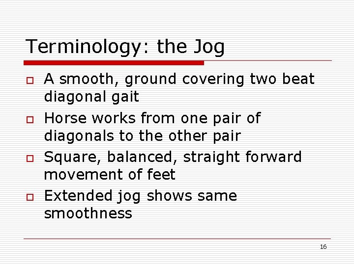 Terminology: the Jog o o A smooth, ground covering two beat diagonal gait Horse