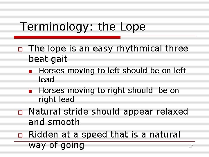Terminology: the Lope o The lope is an easy rhythmical three beat gait n