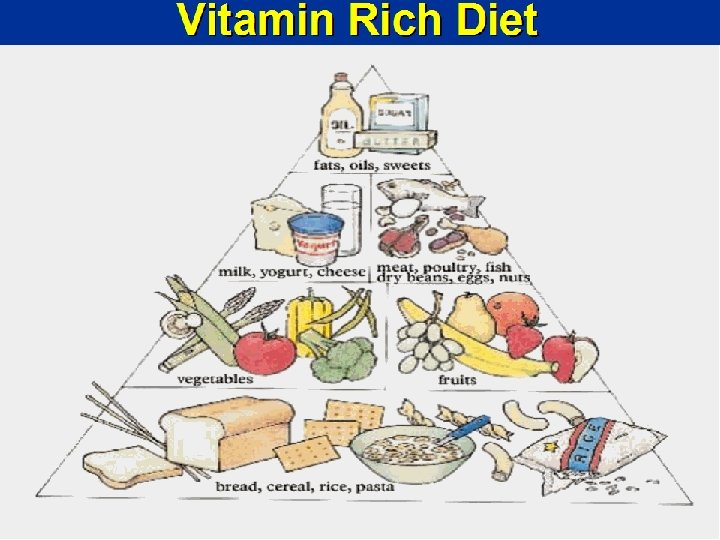 Vitamin Rich Diet 