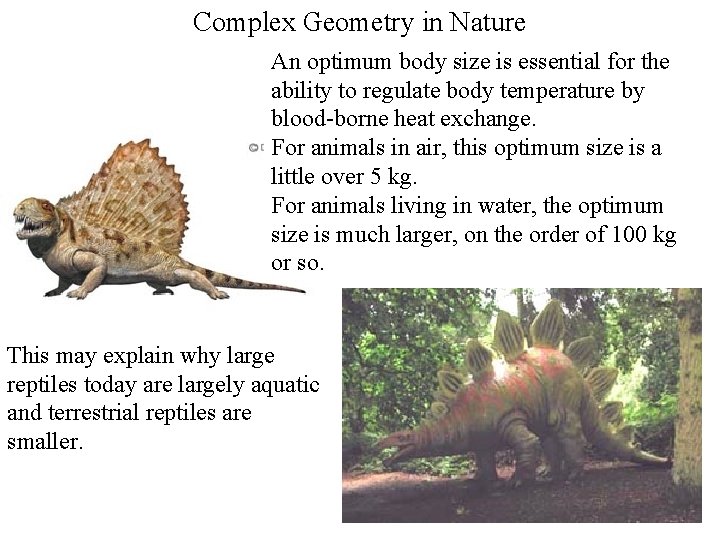 Complex Geometry in Nature An optimum body size is essential for the ability to