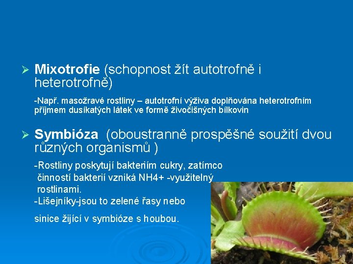 Ø Mixotrofie (schopnost žít autotrofně i heterotrofně) -Např. masožravé rostliny – autotrofní výživa doplňována