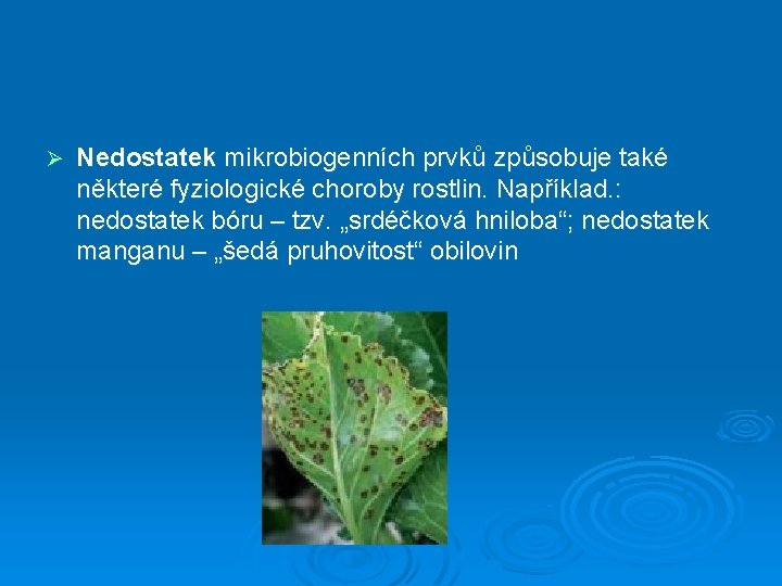 Ø Nedostatek mikrobiogenních prvků způsobuje také některé fyziologické choroby rostlin. Například. : nedostatek bóru