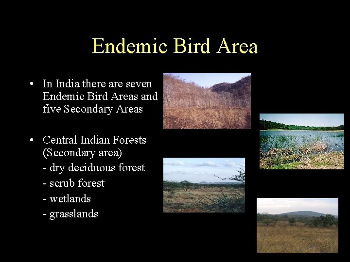 Endemic Bird Area • In India there are seven Endemic Bird Areas and five