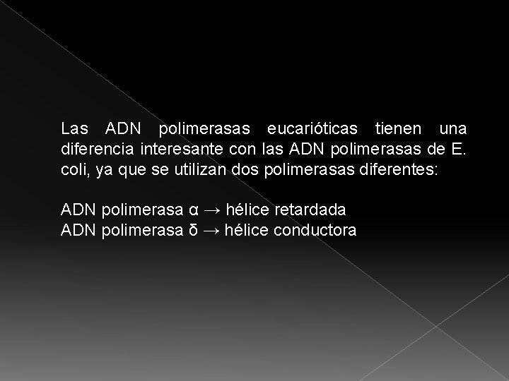 Las ADN polimerasas eucarióticas tienen una diferencia interesante con las ADN polimerasas de E.