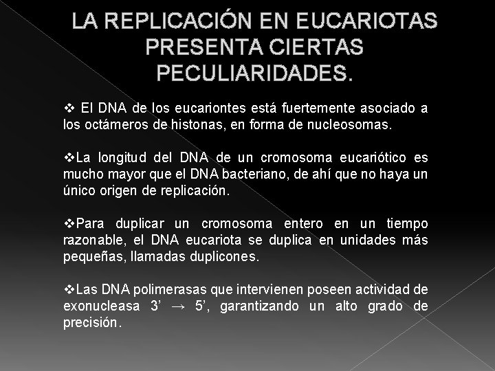 LA REPLICACIÓN EN EUCARIOTAS PRESENTA CIERTAS PECULIARIDADES. v El DNA de los eucariontes está