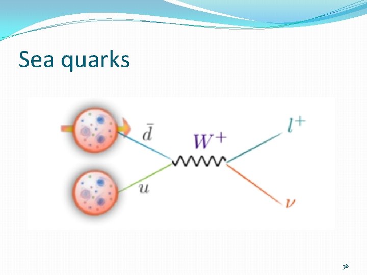 Sea quarks 36 