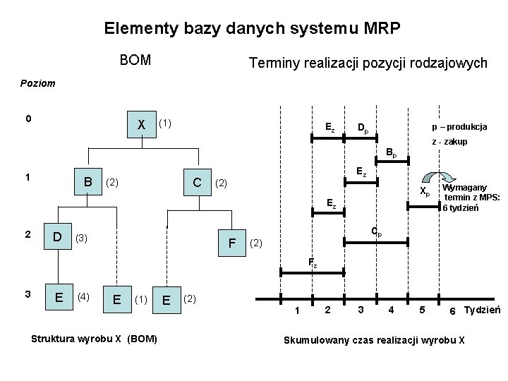 Elementy bazy danych systemu MRP BOM Terminy realizacji pozycji rodzajowych Poziom 0 X (1)