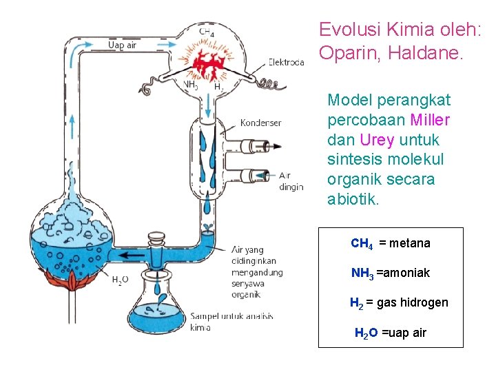 Evolusi Kimia oleh: Oparin, Haldane. Model perangkat percobaan Miller dan Urey untuk sintesis molekul