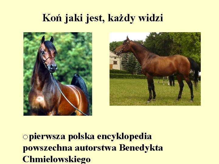 Koń jaki jest, każdy widzi opierwsza polska encyklopedia powszechna autorstwa Benedykta Chmielowskiego 