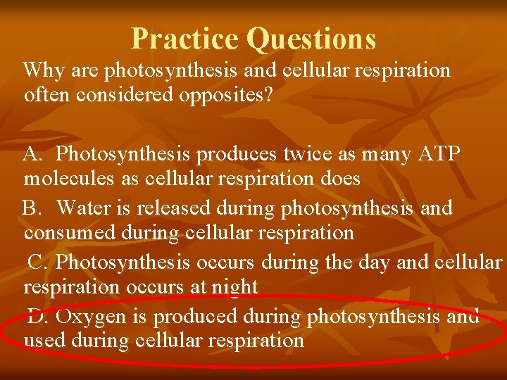 Practice Questions Why are photosynthesis and cellular respiration often considered opposites? A. Photosynthesis produces