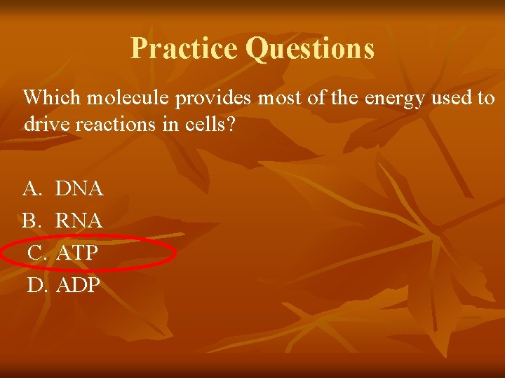 Practice Questions Which molecule provides most of the energy used to drive reactions in