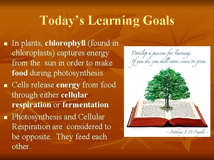Today’s Learning Goals n n n In plants, chlorophyll (found in chloroplasts) captures energy