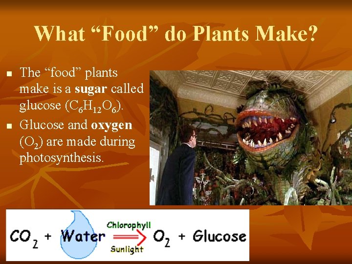 What “Food” do Plants Make? n n The “food” plants make is a sugar