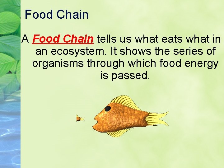 Food Chain A Food Chain tells us what eats what in an ecosystem. It