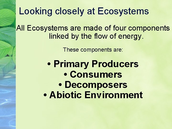 Looking closely at Ecosystems All Ecosystems are made of four components linked by the