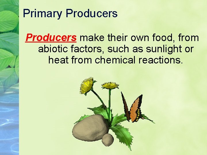 Primary Producers make their own food, from abiotic factors, such as sunlight or heat Primary Producers make their own food, from abiotic factors, such as sunlight or heat
