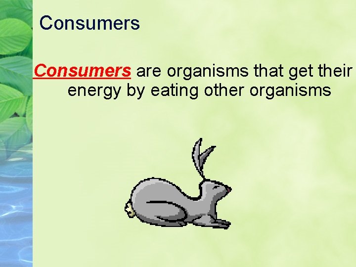 Consumers are organisms that get their energy by eating other organisms Consumers are organisms that get their energy by eating other organisms