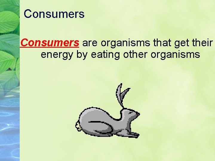 Consumers are organisms that get their energy by eating other organisms 