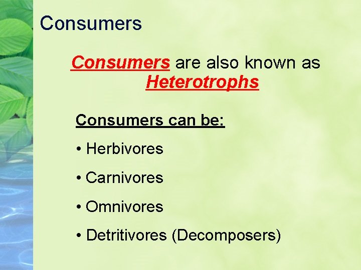 Consumers are also known as Heterotrophs Consumers can be: • Herbivores • Carnivores •