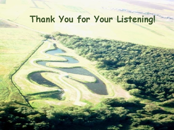 Thank You for Your Listening! 