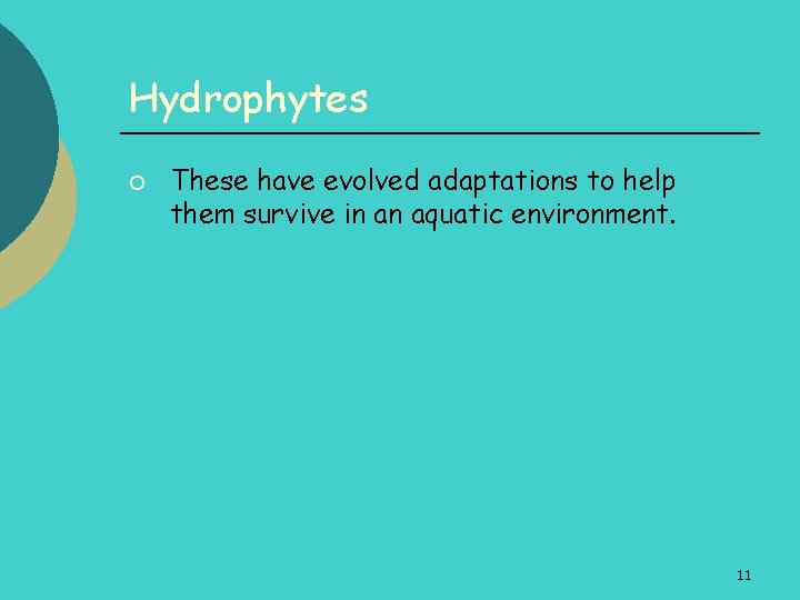 Hydrophytes ¡ These have evolved adaptations to help them survive in an aquatic environment.