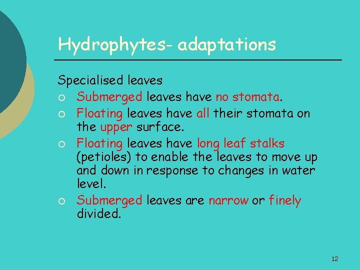 Hydrophytes- adaptations Specialised leaves ¡ Submerged leaves have no stomata. ¡ Floating leaves have