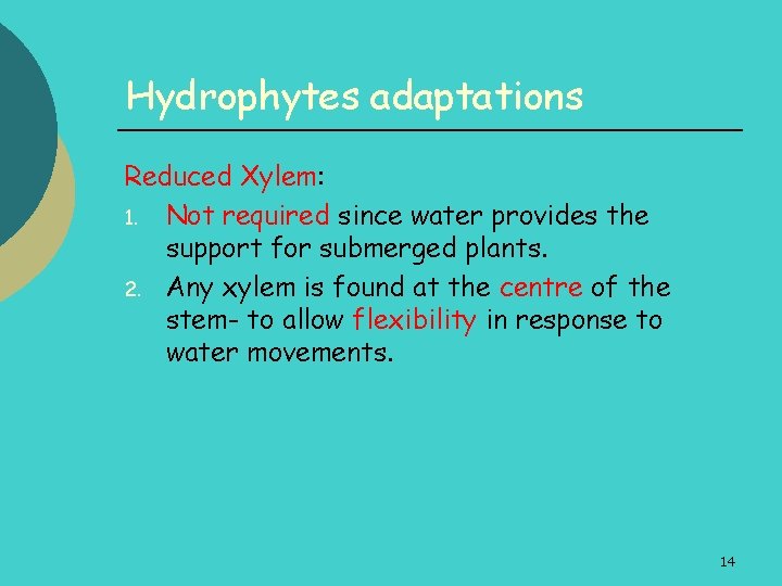 Hydrophytes adaptations Reduced Xylem: 1. Not required since water provides the support for submerged