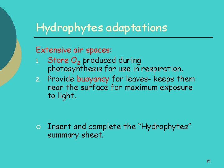 Hydrophytes adaptations Extensive air spaces: 1. Store O 2 produced during photosynthesis for use