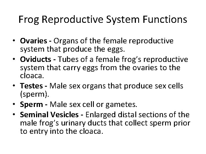 Frog Reproductive System Functions • Ovaries - Organs of the female reproductive system that