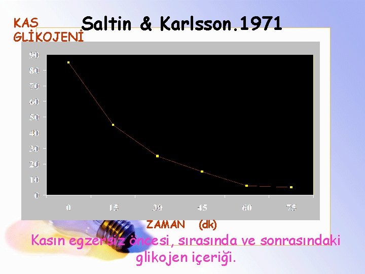 KAS Saltin GLİKOJENİ & Karlsson. 1971 ZAMAN (dk) Kasın egzersiz öncesi, sırasında ve sonrasındaki