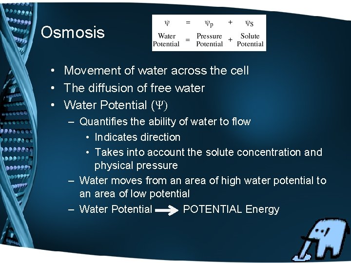 Osmosis • Movement of water across the cell • The diffusion of free water