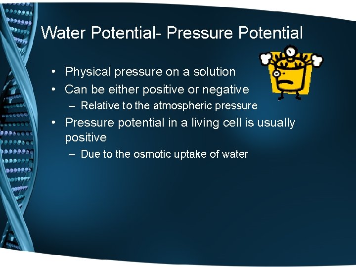 Water Potential- Pressure Potential • Physical pressure on a solution • Can be either