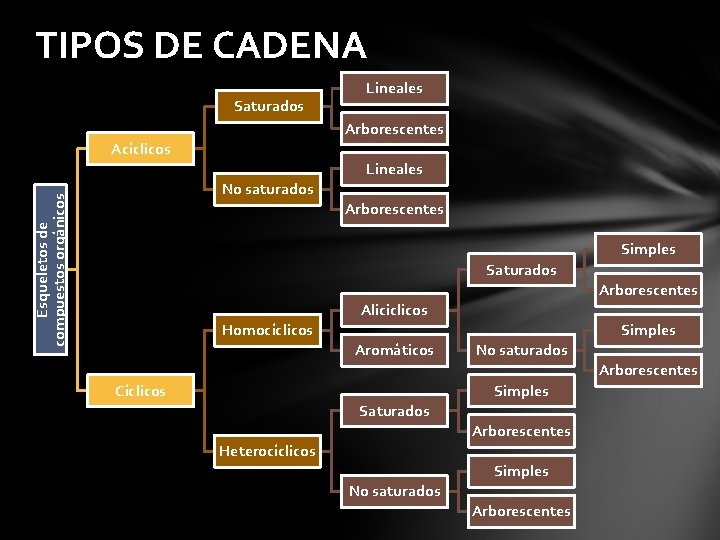 TIPOS DE CADENA Saturados Lineales Arborescentes Acíclicos Lineales Esqueletos de compuestos orgánicos No saturados