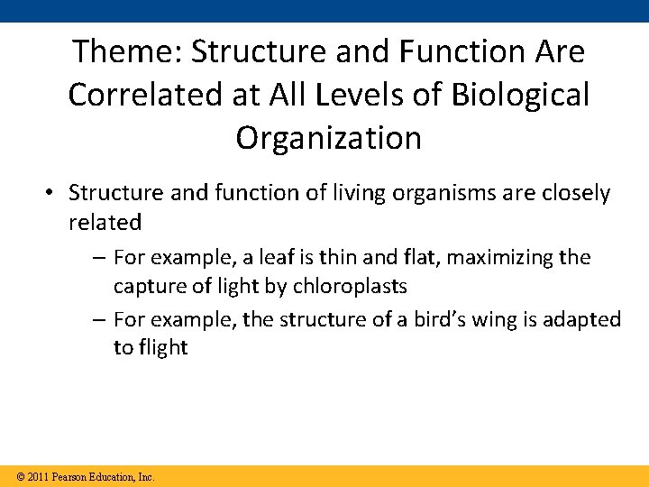 Theme: Structure and Function Are Correlated at All Levels of Biological Organization • Structure