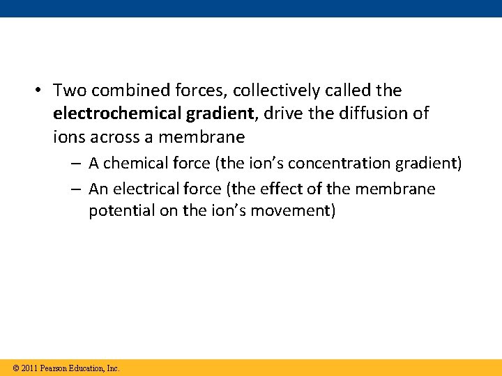  • Two combined forces, collectively called the electrochemical gradient, drive the diffusion of