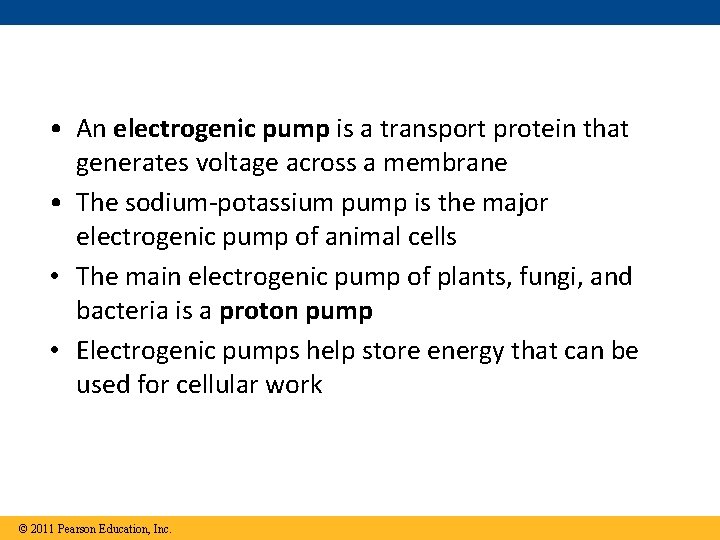  • An electrogenic pump is a transport protein that generates voltage across a