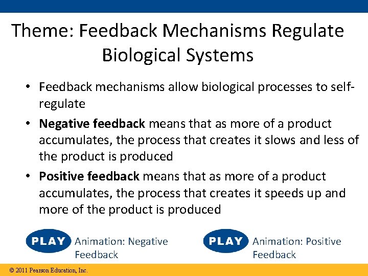 Theme: Feedback Mechanisms Regulate Biological Systems • Feedback mechanisms allow biological processes to selfregulate