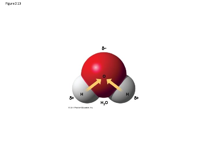 Figure 2. 13 – O + H H H 2 O + 