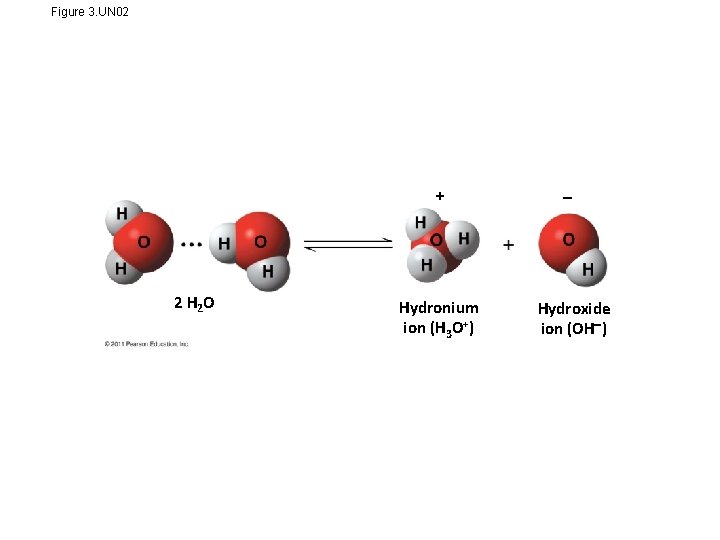 Figure 3. UN 02 + 2 H 2 O Hydronium ion (H 3 O+)
